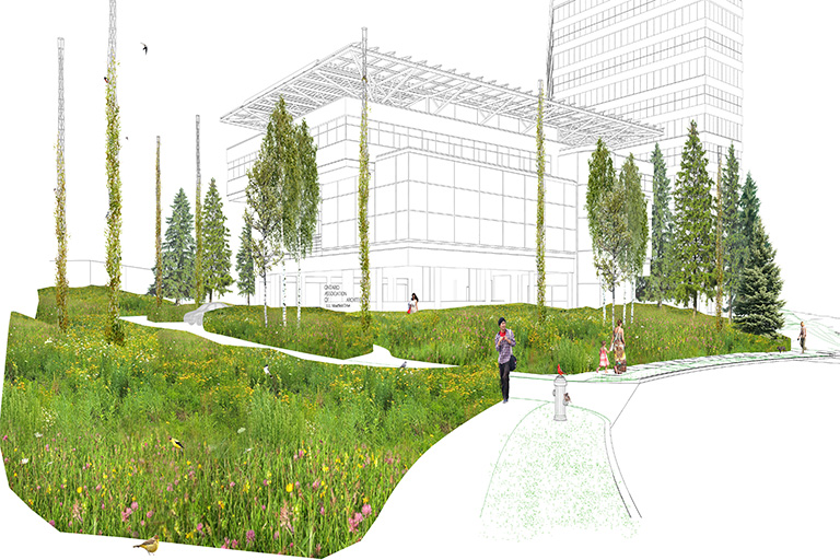 Team Black Hickory - Thumbnail of Landscape design competition exterior