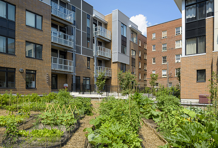 Courtyard garden with mid-rise apartment buildings in the background