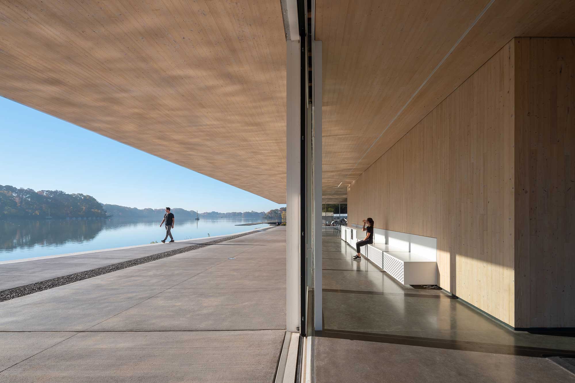 View of the mass timber canopy structure from inside to outside