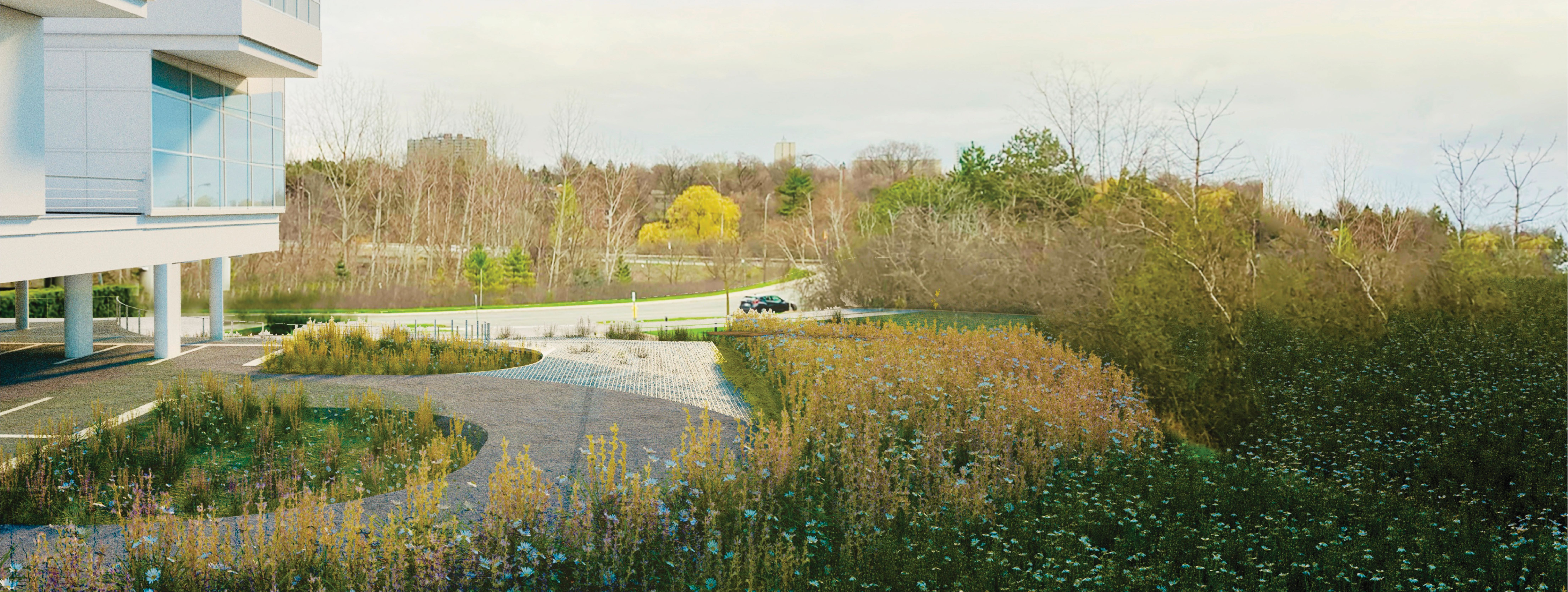 Render of The Grounding Meadow by Team Chestnut