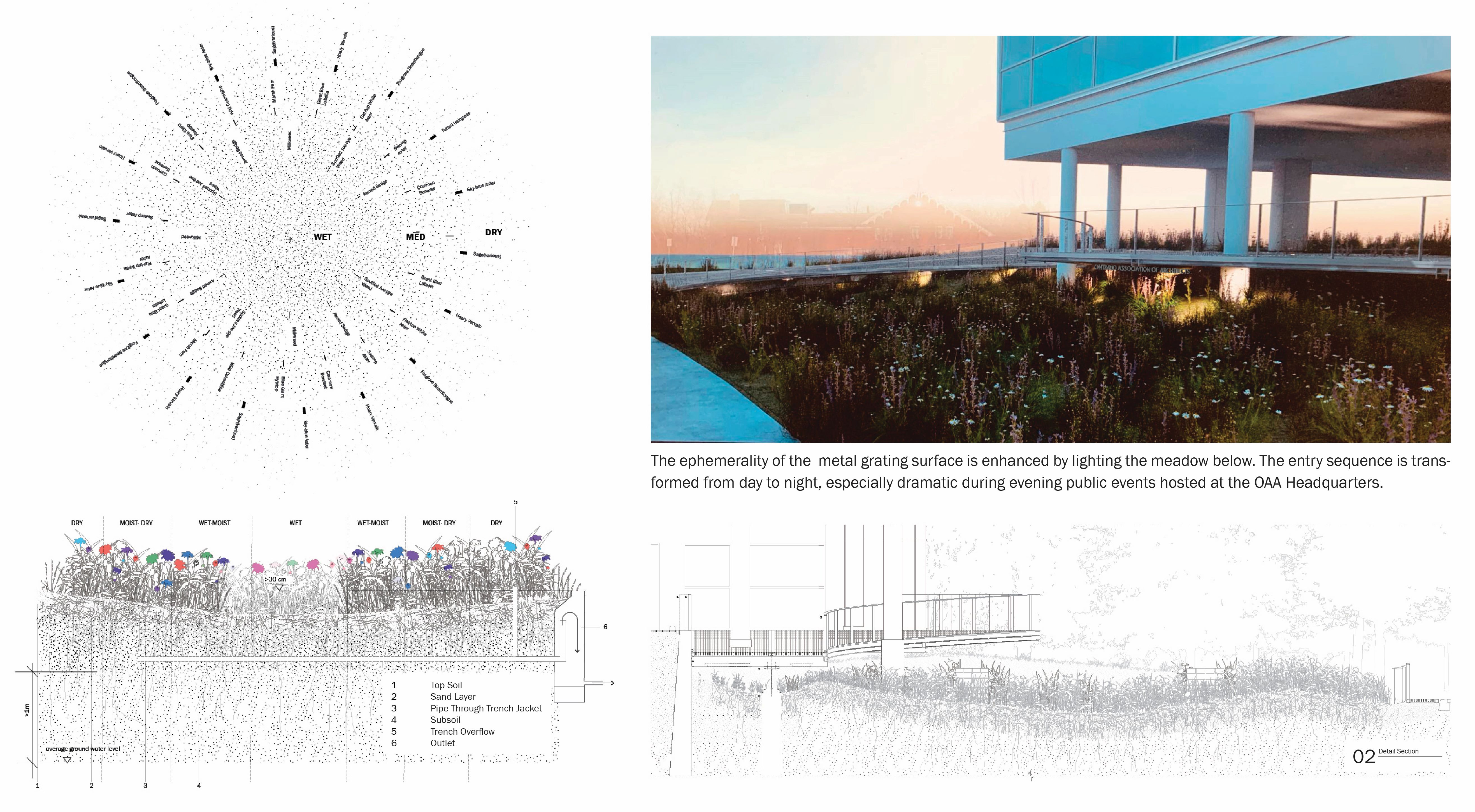 Site sections by Team Chestnut