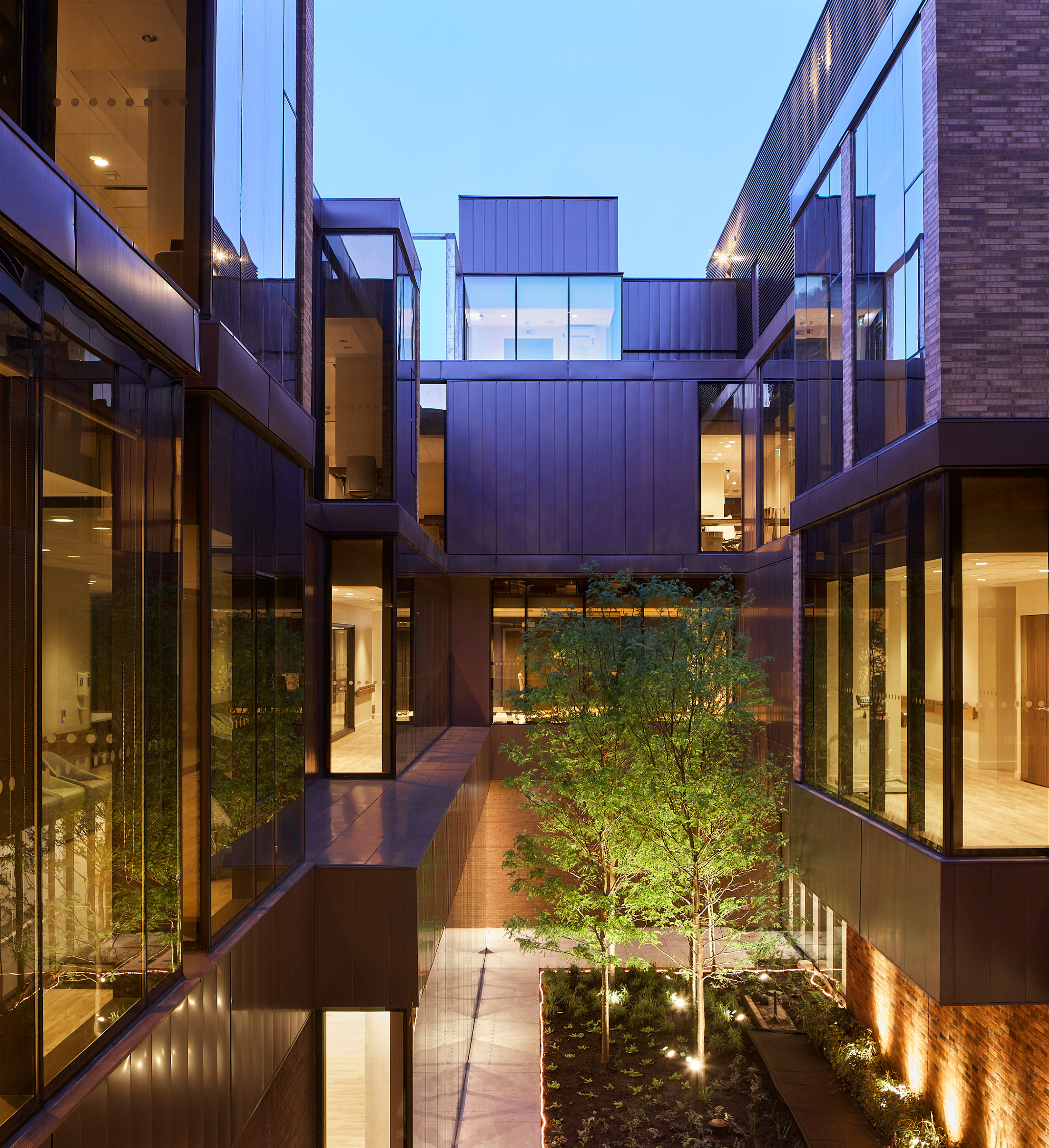 Internal courtyard with trees and natural light.